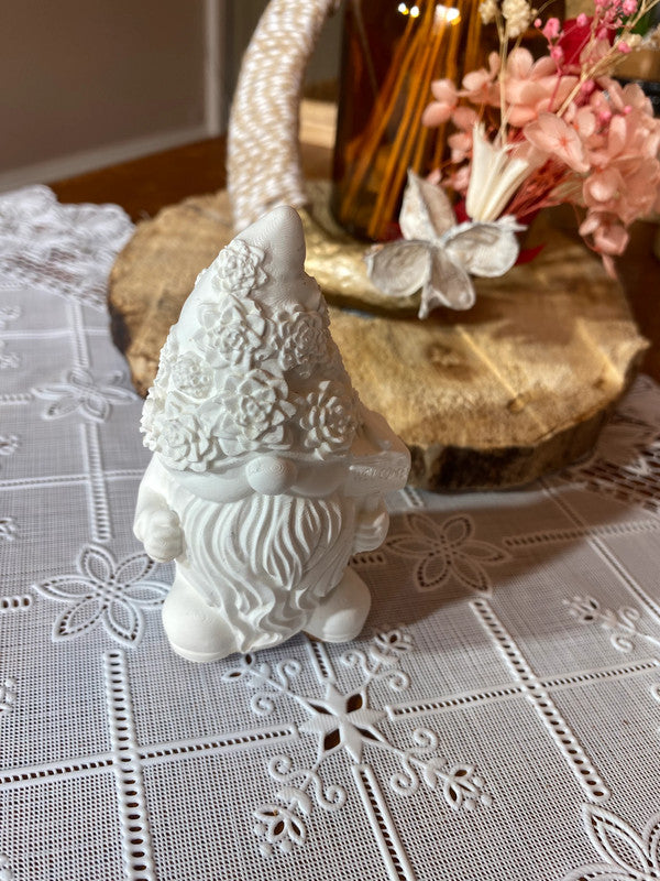 Gnomes (plusieurs coloris et formes)
