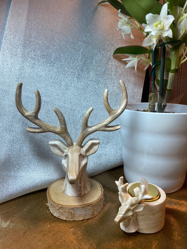Tête de cerf - Par 2
