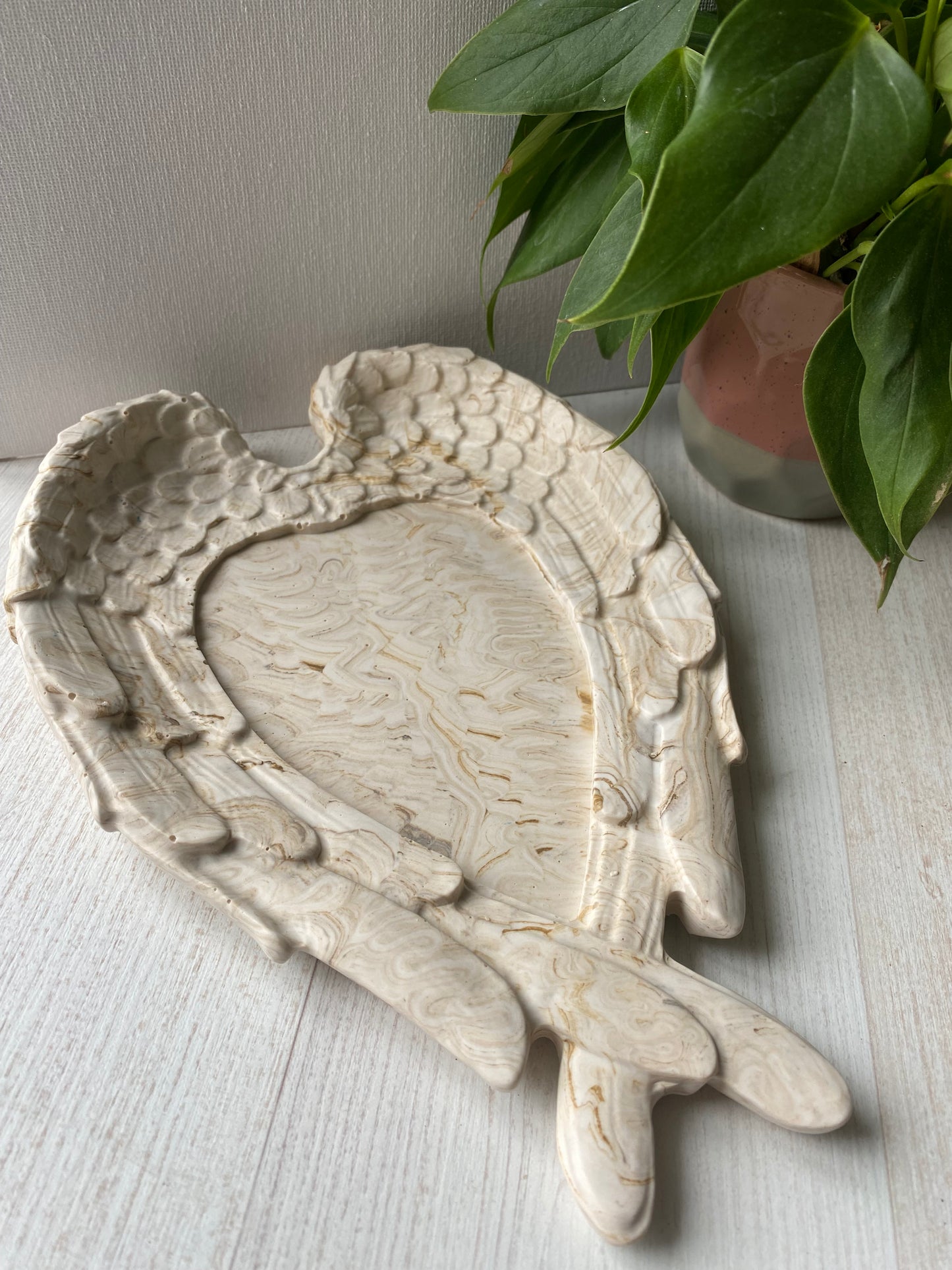 Vide poche Ailes