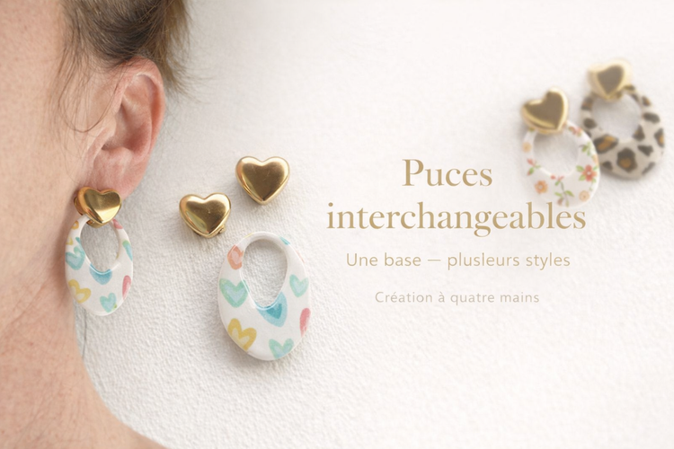 4. Les Puces interchangeables
