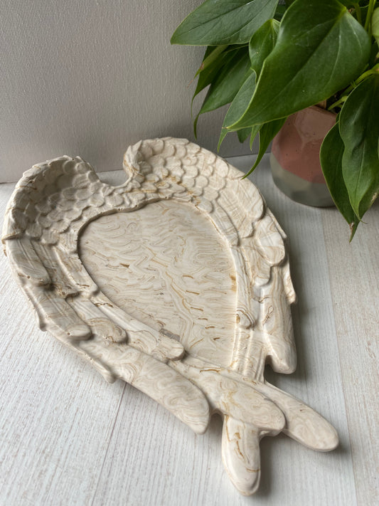 Vide poche Ailes